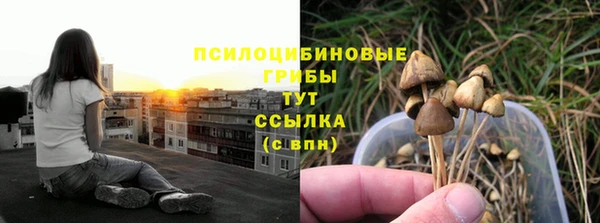 амф Вяземский