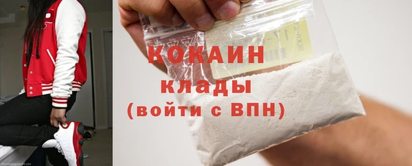амф Вяземский