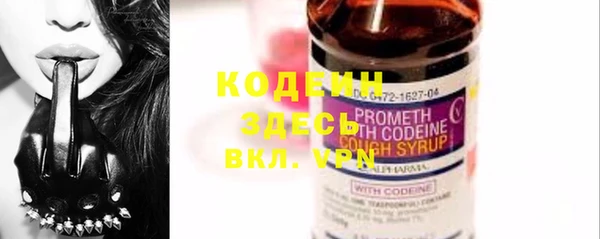амф Вяземский
