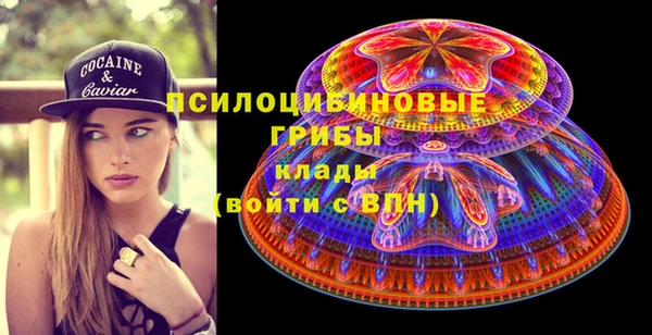 амф Вяземский