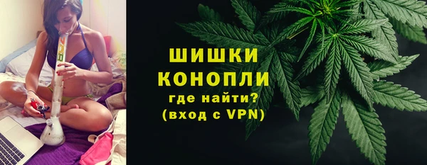 spice Вязьма