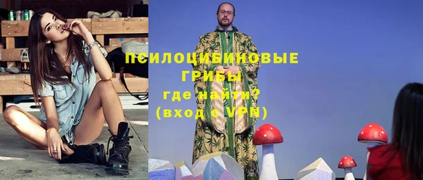 spice Вязьма