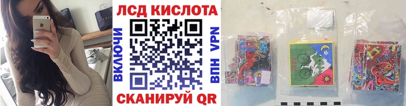 Купить закладки  Нелидово  Наркотические марки 1500мкг 