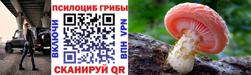 Купить где  Нелидово  Галлюциногенные грибы GOLDEN TEACHER 